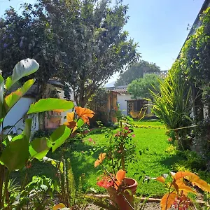 Jardin De Stela Antigua
